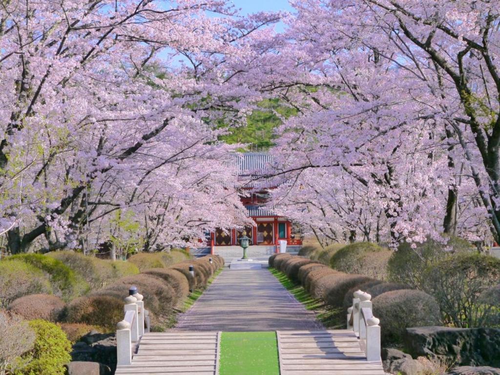 Tateshina Shinyu Onsen Hotell Chino Exteriör bild